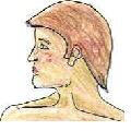 Vata head