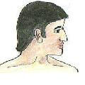 Vata head