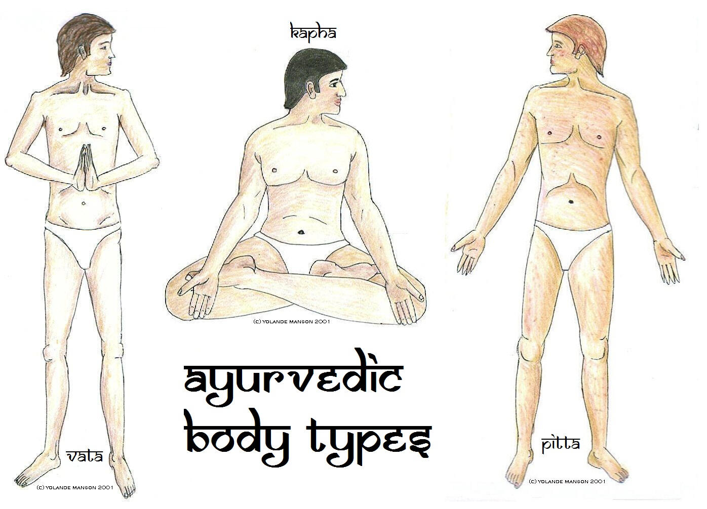 Ayurveda image