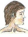 Vata head